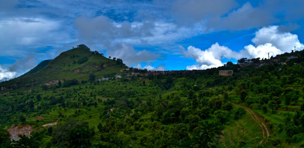 Bandipur View