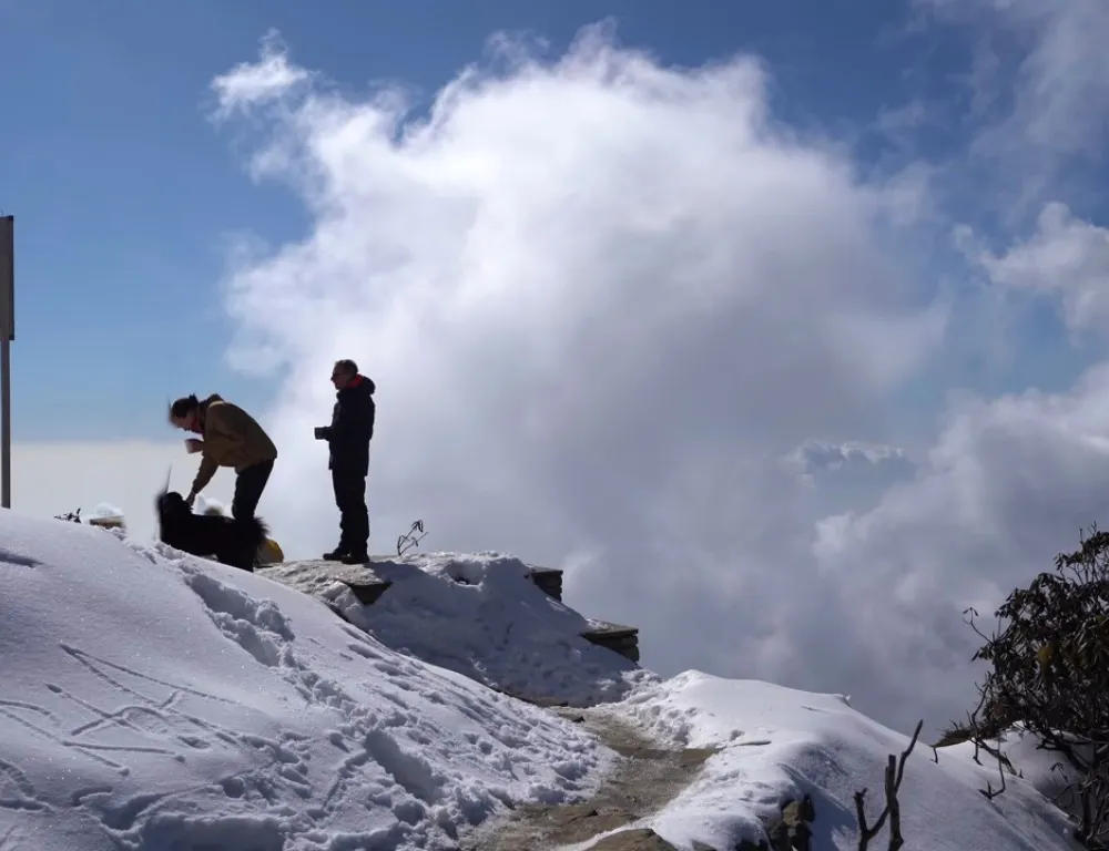Mardi Himal Yoga Trek