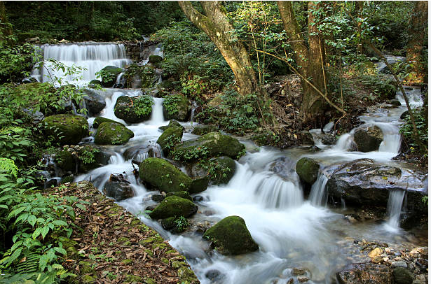 Shivapuri National Park